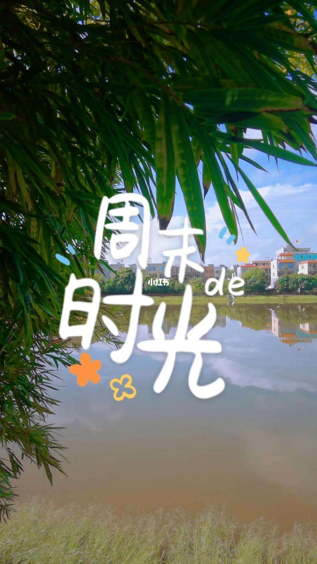 快乐周末安卓版喵酱的快乐周末游戏下载
